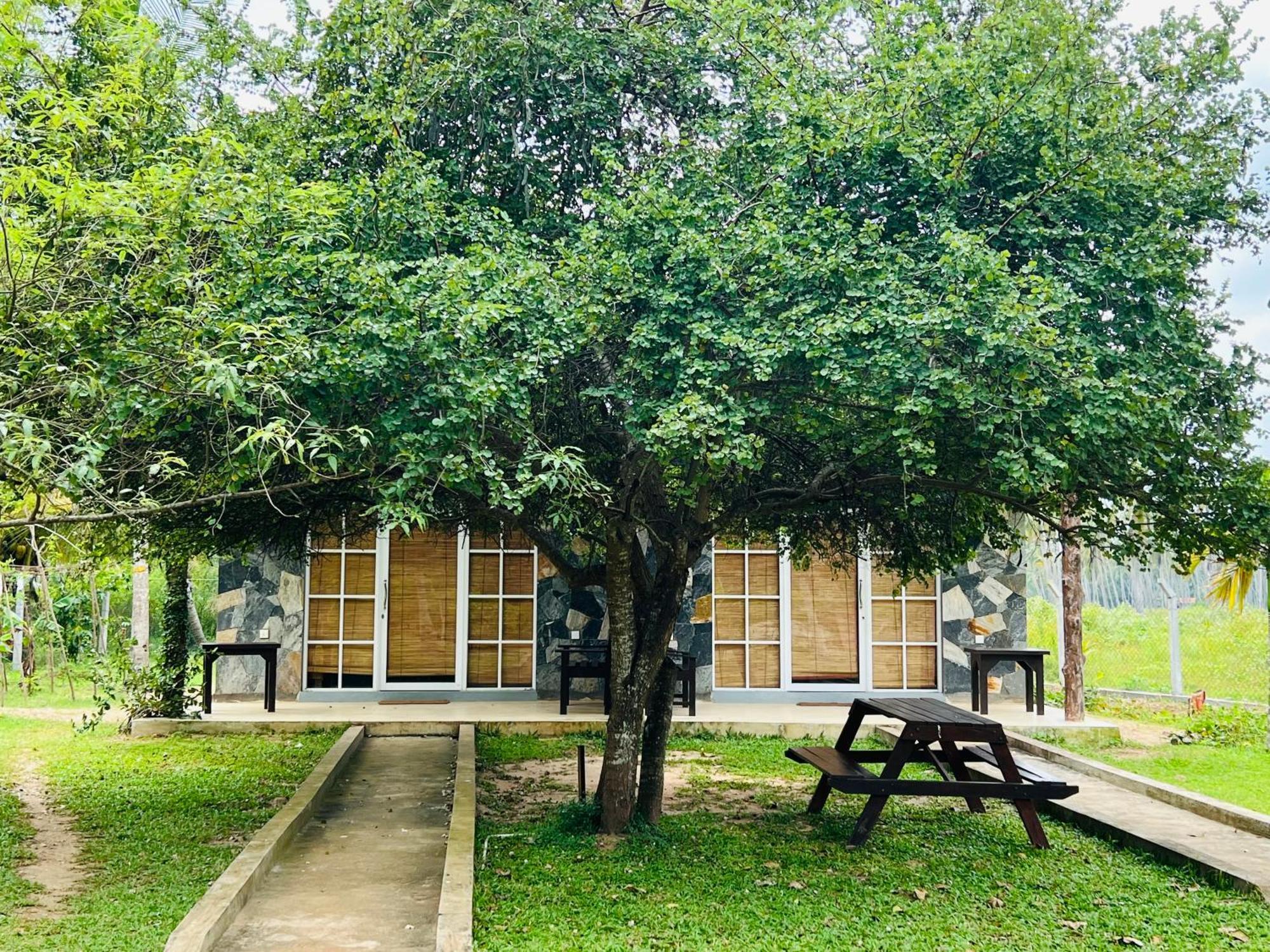 Coco Village Hotel צ'ילאו מראה חיצוני תמונה